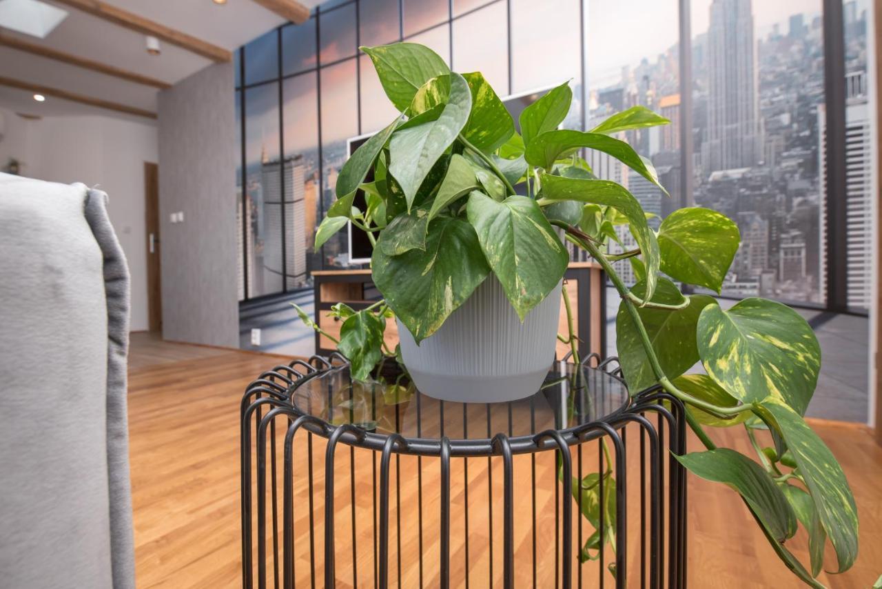Apartament Mikolowska 2 Gliwice Exteriör bild
